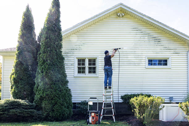 Best Fence Cleaning  in Rowlett, TX